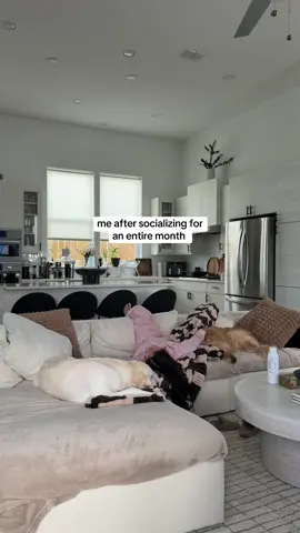 I need to recharge for a few days, this month was insane 🙃  #socializing #rechargingenergy #goldenretrieverlife #furmom #goldenretrievers 