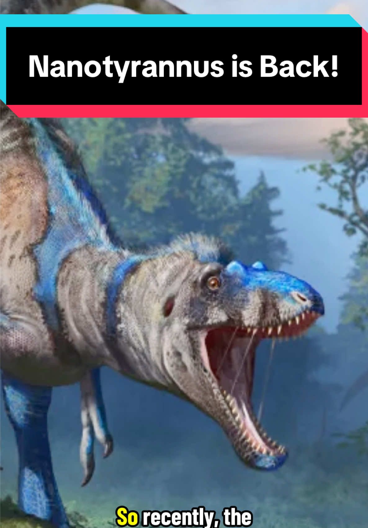 Nanotyrannus is back! There is more evidence that helps support it (all of it very strong) but these are some of the biggest pieces that were presented! #dinotok #dinosaur #trex 
