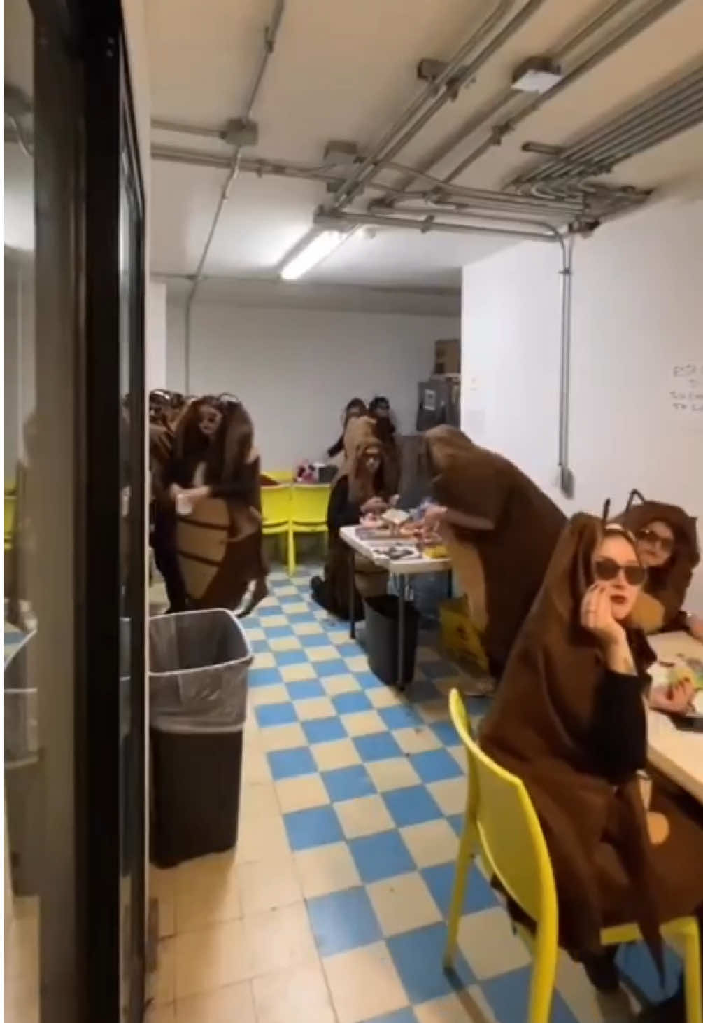 La vez que fuimos cucarachas  🪳🪳🪳🪳🎃 disfraz de grupo . No olvidar esta joya, que no vivía aquí en mi perfil 😂🎃 #fyp #halloweenlook #halloween #team #oficina 