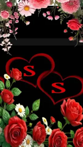 ❤️❤️❤️$$$$💔💔💔💔