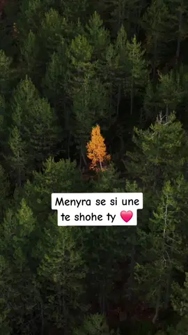 Dergoja njeriut tend te ❤️