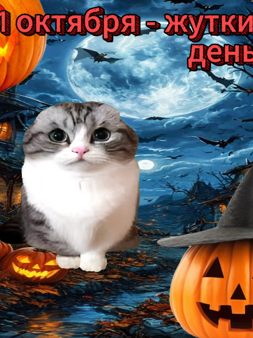 ТГК: kamarfans 😱 это был жуткий месяц #31октября #жуткий #хэллоуин