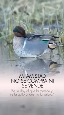 Frases #frase #reflexion 