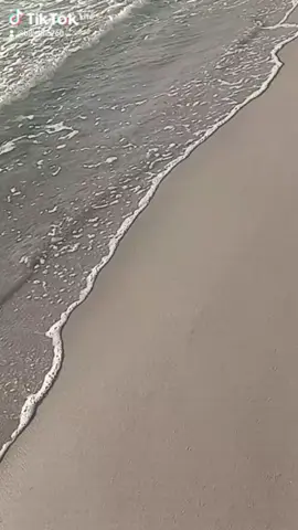 #السعب_الصيني_ماله_حل😂😂😂 #pelaje 