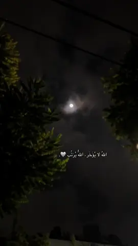 #إقتباسات #fyp #أدعية #muslim #foryoupage 