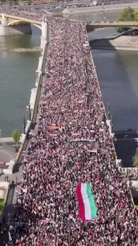 A nemzeti oldal nem engedi a tiszás hazaárulókat kormányra jutni! #tiszapart #fidesz #magyarpeter 