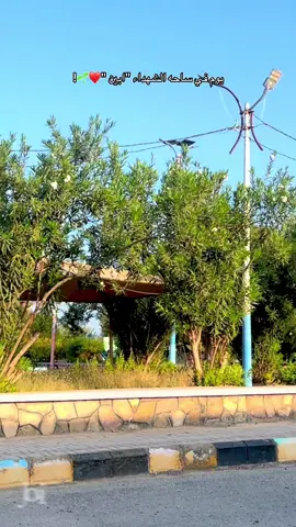 لم تكُن تُنافس، لكنها تفوّقت ببساطتها❤️🌱 #ابين #الديره#زنجبار #جمان 