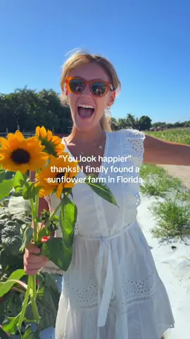 I love my sunshine-filled life in South Florida 🌞🌻💛 @Bedner's Farm Fresh Market thank you for the most beautiful morning at your sunflower farm!!  Comment SUNSHINE for my fave Florida reset spots! #floridafall #sunflowerfarm #delraybeach #southflorida #romanticizeyourlife 