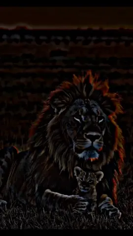 #تصميم_فيديوهات🎶🎤🎬 #عاحسب_طلبك #اليمن_فلسطين🇾🇪🇰🇼🇾🇪 #حركهـ_الاكسبلورر_فولو_كومنت🖤 #يمانيون_🇾🇪لنا_في_قمه_الفخر_رايات RAREEHREE  RA RA 잘잘잘잘잘잘잘잘잘잘잘잘잘잘잘잘잘잘永永永永永永永永永永永永永永永永永줄줄줄줄줄줄줄줄줄줄줄줄줄좋은 날 좋은 날 좋은 날 좋은 날:RAREEHREE  RA RA 잘잘잘잘잘잘잘잘잘잘잘잘잘잘잘잘잘잘永永永永永永永永永永永永永永永永永줄줄줄줄줄줄줄줄줄줄줄줄줄좋은RAREEHREE  RA RA 잘잘잘잘잘잘잘잘잘잘잘잘잘잘잘잘잘잘永永永永永永永永永永永永永永永永永줄줄줄줄줄줄줄줄줄줄줄줄줄좋은 날 좋은 날 좋은 날 좋은 날:RAREEHREE  RA RA 잘잘잘잘잘잘잘잘잘잘잘잘잘잘잘잘잘잘永永永永永永永永永永永永永永永永永줄줄줄줄줄줄줄줄줄줄줄줄줄좋은RAREEHREE  RA RA 잘잘잘잘잘잘잘잘잘잘잘잘잘잘잘잘잘잘永永永永永永永永永永永永永永永永永줄줄줄줄줄줄줄줄줄줄줄줄줄좋은 날 좋은 날 좋은 날 좋은 날:RAREEHREE  RA RA 잘잘잘잘잘잘잘잘잘잘잘잘잘잘잘잘잘잘永永永永永永永永永永永永永永永永永줄줄줄줄줄줄줄줄줄줄줄줄줄좋은RAREEHREE  RA RA 잘잘잘잘잘잘잘잘잘잘잘잘잘잘잘잘잘잘永永永永永永永永永永永永永永永永永줄줄줄줄줄줄줄줄줄줄줄줄줄좋은 날 좋은 날 좋은 날 좋은 날:RAREEHREE  RA RA 잘잘잘잘잘잘잘잘잘잘잘잘잘잘잘잘잘잘永永永永永永永永永永永永永永永永永줄줄줄줄줄줄줄줄줄줄줄줄줄좋은RAREEHREE  RA RA 잘잘잘잘잘잘잘잘잘잘잘잘잘잘잘잘잘잘永永永永永永永永永永永永永永永永永줄줄줄줄줄줄줄줄줄줄줄줄줄좋은 날 좋은 날 좋은 날 좋은 날:RAREEHREE  RA RA 잘잘잘잘잘잘잘잘잘잘잘잘잘잘잘잘잘잘永永永永永永永永永永永永永永永永永줄줄줄줄줄줄줄줄줄줄줄줄줄좋은RAREEHREE  RA RA 잘잘잘잘잘잘잘잘잘잘잘잘잘잘잘잘잘잘永永永永永永永永永永永永永永永永永줄줄줄줄줄줄줄줄줄줄줄줄줄좋은 날 좋은 날 좋은 날 좋은 날:RAREEHREE  RA RA 잘잘잘잘잘잘잘잘잘잘잘잘잘잘잘잘잘잘永永永永永永永永永永永永永永永永永줄줄줄줄줄줄줄줄줄줄줄줄줄좋은RAREEHREE  RA RA 잘잘잘잘잘잘잘잘잘잘잘잘잘잘잘잘잘잘永永永永永永永永永永永永永永永永永줄줄줄줄줄줄줄줄줄줄줄줄줄좋은 날 좋은 날 좋은 날 좋은 날:RAREEHREE  RA RA 잘잘잘잘잘잘잘잘잘잘잘잘잘잘잘잘잘잘永永永永永永永永永永永永永永永永永줄줄줄줄줄줄줄줄줄줄줄줄줄좋은RAREEHREE  RA RA 잘잘잘잘잘잘잘잘잘잘잘잘잘잘잘잘잘잘永永永永永永永永永永永永永永永永永줄줄줄줄줄줄줄줄줄줄줄줄줄좋은 날 좋은 날 좋은 날 좋은 날:RAREEHREE  RA RA 잘잘잘잘잘잘잘잘잘잘잘잘잘잘잘잘잘잘永永永永永永永永永永永永永永永永永줄줄줄줄줄줄줄줄줄줄줄줄줄좋은RAREEHREE  RA RA 잘잘잘잘잘잘잘잘잘잘잘잘잘잘잘잘잘잘永永永永永永永永永永永永永永永永永줄줄줄줄줄줄줄줄줄줄줄줄줄좋은 날 좋은 날 좋은 날 좋은 날:RAREEHREE  RA RA 잘잘잘잘잘잘잘잘잘잘잘잘잘잘잘잘잘잘永永永永永永永永永永永永永永永永永줄줄줄줄줄줄줄줄줄줄줄줄줄좋은RAREEHREE  RA RA 잘잘잘잘잘잘잘잘잘잘잘잘잘잘잘잘잘잘永永永永永永永永永永永永永永永永永줄줄줄줄줄줄줄줄줄줄줄줄줄좋은 날 좋은 날 좋은 날 좋은 날:RAREEHREE  RA RA 잘잘잘잘잘잘잘잘잘잘잘잘잘잘잘잘잘잘永永永永永永永永永永永永永永永永永줄줄줄줄줄줄줄줄줄줄줄줄줄좋은RAREEHREE  RA RA 잘잘잘잘잘잘잘잘잘잘잘잘잘잘잘잘잘잘永永永永永永永永永永永永永永永永永줄줄줄줄줄줄줄줄줄줄줄줄줄좋은 날 좋은 날 좋은 날 좋은 날:RAREEHREE  RA RA 잘잘잘잘잘잘잘잘잘잘잘잘잘잘잘잘잘잘永永永永永永永永永永永永永永永永永줄줄줄줄줄줄줄줄줄줄줄줄줄좋은RAREEHREE  RA RA 잘잘잘잘잘잘잘잘잘잘잘잘잘잘잘잘잘잘永永永永永永永永永永永永永永永永永줄줄줄줄줄줄줄줄줄줄줄줄줄좋은 날 좋은 날 좋은 날 좋은 날:RAREEHREE  RA RA 잘잘잘잘잘잘잘잘잘잘잘잘잘잘잘잘잘잘永永永永永永永永永永永永永永永永永줄줄줄줄줄줄줄줄줄줄줄줄줄좋은RAREEHREE  RA RA 잘잘잘잘잘잘잘잘잘잘잘잘잘잘잘잘잘잘永永永永永永永永永永永永永永永永永줄줄줄줄줄줄줄줄줄줄줄줄줄좋은 날 좋은 날 좋은 날 좋은 날:RAREEHREE  RA RA 잘잘잘잘잘잘잘잘잘잘잘잘잘잘잘잘잘잘永永永永永永永永永永永永永永永永永줄줄줄줄줄줄줄줄줄줄줄줄줄좋은RAREEHREE  RA RA 잘잘잘잘잘잘잘잘잘잘잘잘잘잘잘잘잘잘永永永永永永永永永永永永永永永永永줄줄줄줄줄줄줄줄줄줄줄줄줄좋은 날 좋은 날 좋은 날 좋은 날:RAREEHREE  RA RA 잘잘잘잘잘잘잘잘잘잘잘잘잘잘잘잘잘잘永永永永永永永永永永永永永永永永永줄줄줄줄줄줄줄줄줄줄줄줄줄좋은RAREEHREE  RA RA 잘잘잘잘잘잘잘잘잘잘잘잘잘잘잘잘잘잘永永永永永永永永永永永永永永永永永줄줄줄줄줄줄줄줄줄줄줄줄줄좋은 날 좋은 날 좋은 날 좋은 날:RAREEHREE  RA RA 잘잘잘잘잘잘잘잘잘잘잘잘잘잘잘잘잘잘永永永永永永永永永永永永永永永永永줄줄줄줄줄줄줄줄줄줄줄줄줄좋은RAREEHREE  RA RA 잘잘잘잘잘잘잘잘잘잘잘잘잘잘잘잘잘잘永永永永永永永永永永永永永永永永永줄줄줄줄줄줄줄줄줄줄줄줄줄좋은 날 좋은 날 좋은 날 좋은 날:RAREEHREE  RA RA 잘잘잘잘잘잘잘잘잘잘잘잘잘잘잘잘잘잘永永永永永永永永永永永永永永永永永줄줄줄줄줄줄줄줄줄줄줄줄줄좋은RAREEHREE  RA RA 잘잘잘잘잘잘잘잘잘잘잘잘잘잘잘잘잘잘永永永永永永永永永永永永永永永永永줄줄줄줄줄줄줄줄줄줄줄줄줄좋은 날 좋은 날 좋은 날 좋은 날:RAREEHREE  RA RA 잘잘잘잘잘잘잘잘잘잘잘잘잘잘잘잘잘잘永永永永永永永永永永永永永永永永永줄줄줄줄줄줄줄줄줄줄줄줄줄좋은RAREEHREE  RA RA 잘잘잘잘잘잘잘잘잘잘잘잘잘잘잘잘잘잘永永永永永永永永永永永永永永永永永줄줄줄줄줄줄줄줄줄줄줄줄줄좋은 날 좋은 날 좋은 날 좋은 날:RAREEHREE  RA RA 잘잘잘잘잘잘잘잘잘잘잘잘잘잘잘잘잘잘永永永永永永永永永永永永永永永永永줄줄줄줄줄줄줄줄줄줄줄줄줄좋은RAREEHREE  RA RA 잘잘잘잘잘잘잘잘잘잘잘잘잘잘잘잘잘잘永永永永永永永永永永永永永永永永永줄줄줄줄줄줄줄줄줄줄줄줄줄좋은 날 좋은 날 좋은 날 좋은 날:RAREEHREE  RA RA 잘잘잘잘잘잘잘잘잘잘잘잘잘잘잘잘잘잘永永永永永永永永永永永永永永永永永줄줄줄줄줄줄줄줄줄줄줄줄줄좋은RAREEHREE  RA RA 잘잘잘잘잘잘잘잘잘잘잘잘잘잘잘잘잘잘永永永永永永永永永永永永永永永永永줄줄줄줄줄줄줄줄줄줄줄줄줄좋은 날 좋은 날 좋은 날 좋은 날:RAREEHREE  RA RA 잘잘잘잘잘잘잘잘잘잘잘잘잘잘잘잘잘잘永永永永永永永永永永永永永永永永永줄줄줄줄줄줄줄줄줄줄줄줄줄좋은RAREEHREE  RA RA 잘잘잘잘잘잘잘잘잘잘잘잘잘잘잘잘잘잘永永永永永永永永永永永永永永永永永줄줄줄줄줄줄줄줄줄줄줄줄줄좋은 날 좋은 날 좋은 날 좋은 날:RAREEHREE  RA RA 잘잘잘잘잘잘잘잘잘잘잘잘잘잘잘잘잘잘永永永永永永永永永永永永永永永永永줄줄줄줄줄줄줄줄줄줄줄줄줄좋은RAREEHREE  RA RA 잘잘잘잘잘잘잘잘잘잘잘잘잘잘잘잘잘잘永永永永永永永永永永永永永永永永永줄줄줄줄줄줄줄줄줄줄줄줄줄좋은 날 좋은 날 좋은 날 좋은 날:RAREEHREE  RA RA 잘잘잘잘잘잘잘잘잘잘잘잘잘잘잘잘잘잘永永永永永永永永永永永永永永永永永줄줄줄줄줄줄줄줄줄줄줄줄줄좋은RAREEHREE  RA RA 잘잘잘잘잘잘잘잘잘잘잘잘잘잘잘잘잘잘永永永永永永永永永永永永永永永永永줄줄줄줄줄줄줄줄줄줄줄줄줄좋은 날 좋은 날 좋은 날