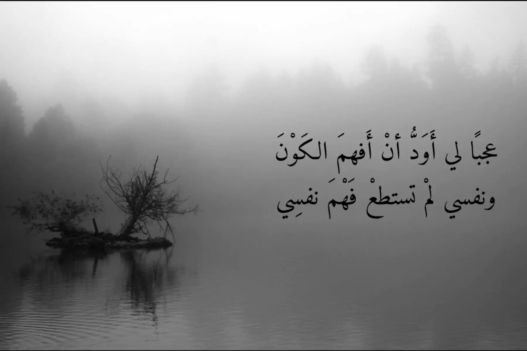 عجبًا لي أَوَدُّ أنْ أَفهمَ الكَوْنَ ونفسي لمْ تستطعْ فَهْمَ نفسِي  #viral #greenscreen #fppppppppppppppppppp #fyp #tiktok 