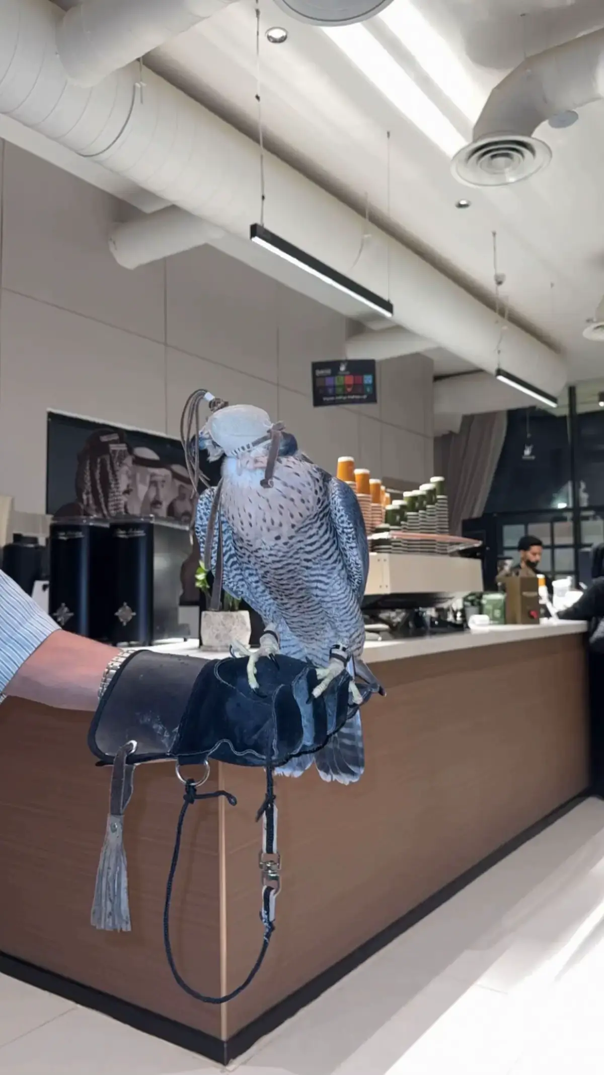 #fyp #4u #tiktok #relatable 