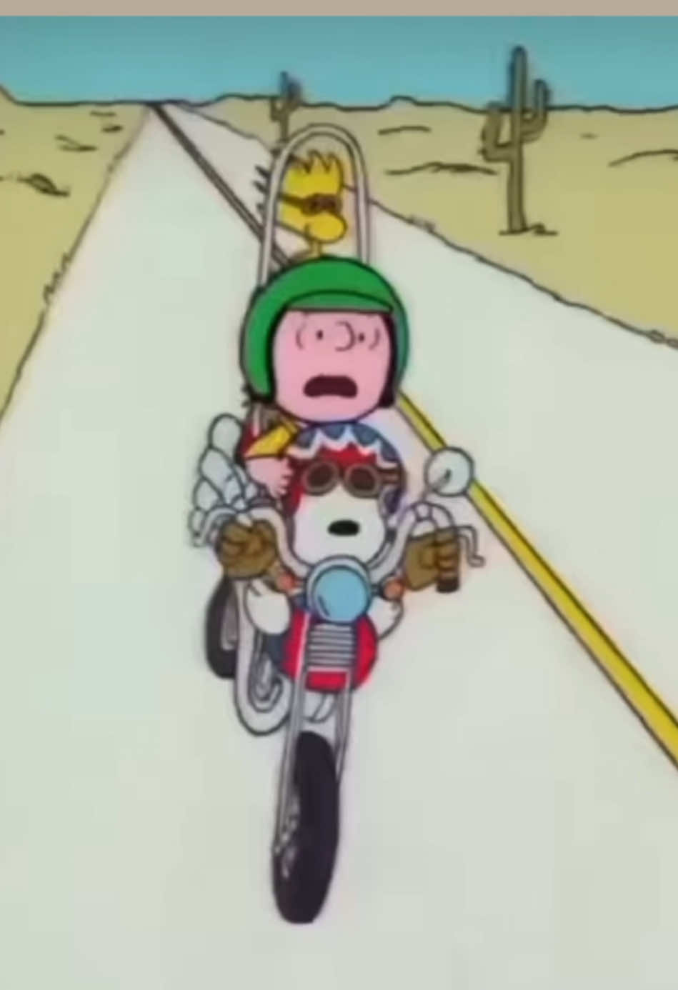 Solo snoopy es el mejor piloto #snoopychannel #fyp #funny #cutedog #fypシ゚  