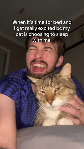#cat #catsoftiktok 