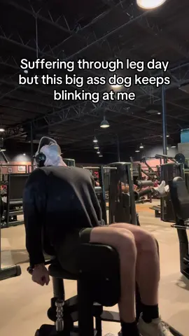 Is bro trying to tell me something?? #fyp #foryou #BookTok #books #throneofglass 