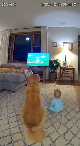 Bravest Pup Ever: Tiny Dog Saves Baby from a Tiger!” #HeroDog #ViralRescue #AnimalHeroes #UnbelievableMoments #DogLoversUSA 