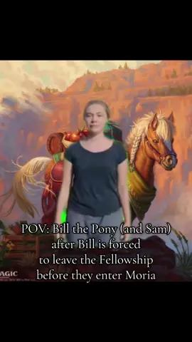 By far the saddest moment in Fellowship of the Ring that I had forgotten about before my recent re-read. The fact that Gandalf puts a  spell of protection on Bill and reassures Sam that he’ll be safe. Just love the tenderness and respect everyone had for good ol Bill the Pony. #lotr #lotrtok #fantasytok 