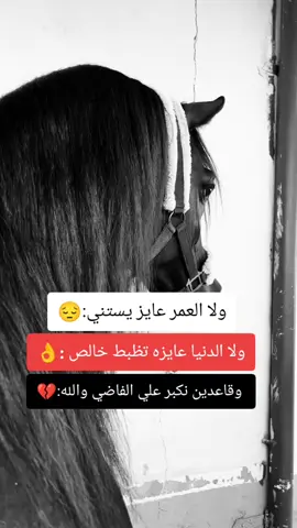 #خيول_عربية_اصيلة❤️🐎  #مجرد________ذووووووق🎶🎵💞  #اقتباسات_عبارات_خواطر🖤🦋❤️  #المصمم_بوهيبه🎬بوهيبه🎵 