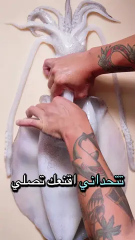 قيام الليل @محمد بن عمر #قيام_الليل #قيام_الليل_يحقق_المعجزات_لك🌹🤍 