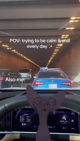 Every day in Riyadh 💀🚗💨 #Meme #MemeCut #fypシ゚ #4u 