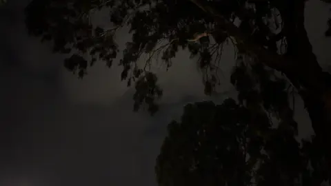 😢#ابها #fyp #بن_فطيس 