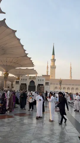 #MADINA #mashallah❤️🥀😍❤️🥀😍 #viral #video #ferayou 