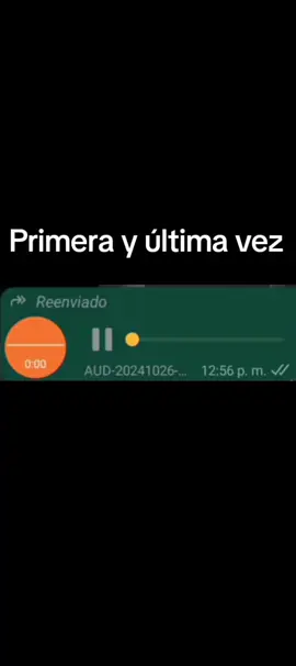 #whasapp #audios #whatsappstatus #paratii #fyp 