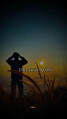 Maalinta Aan Ku Jeclaaday Waxaan U Heystay In Ay Aheyd Farxada Nolosheyda #viral #fpy #foryoupage #somalitiktok #tiktoksomalia 