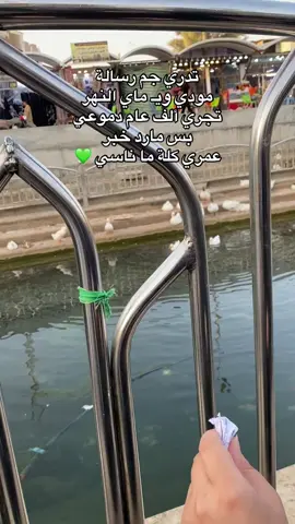 💚💚💚 #explore #like  #لايكاتكم_تعاليق_متابعه_اكسبلور #لايك_متابعه_اكسبلور #مشاهير_تيك_توك 