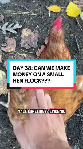 Replying to @Totes McGoats success! Now join me for period collections! #chickens #smallfarm #homestead #eggs #farmlife 