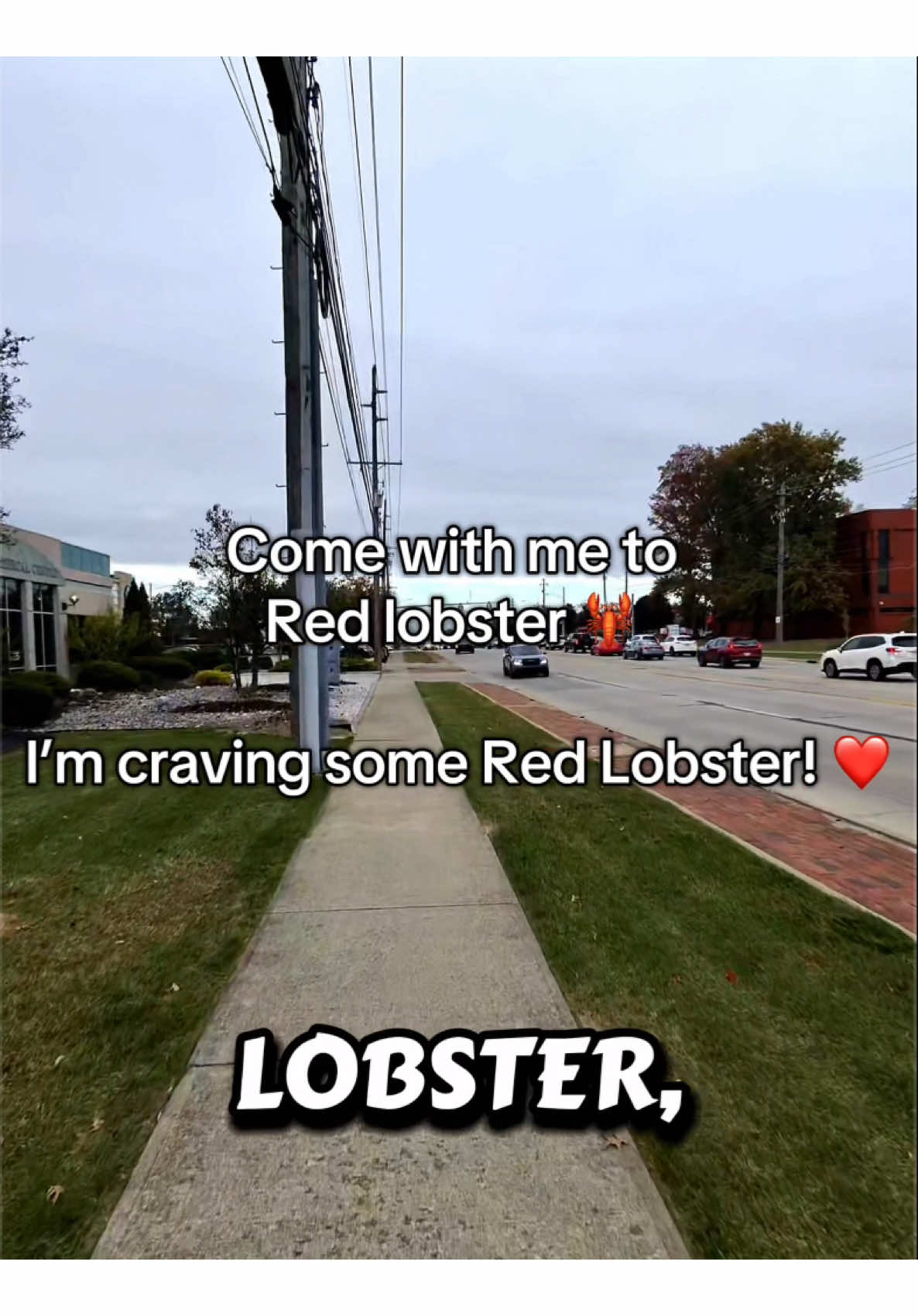 I used my gift card for this one, could fill in the desert! ❤️🦞 #redlobster #viral #meta #review #fyp @Red Lobster 