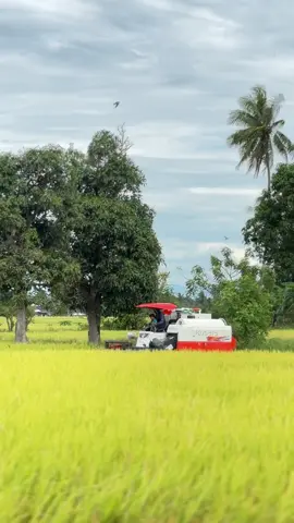 #operatormuda #combine #kubota70pro #fyp 