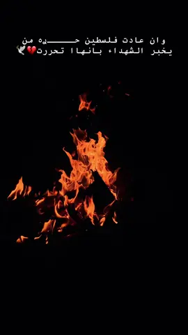 #مخيم_جنين_اسم_لن_يكرره_التاريخ💪 #لاتنسوا_ذكر_الله🤍 #اللهم_صلي_على_نبينا_محمد #comedia #الشعب_الصيني_ماله_حل😂😂 