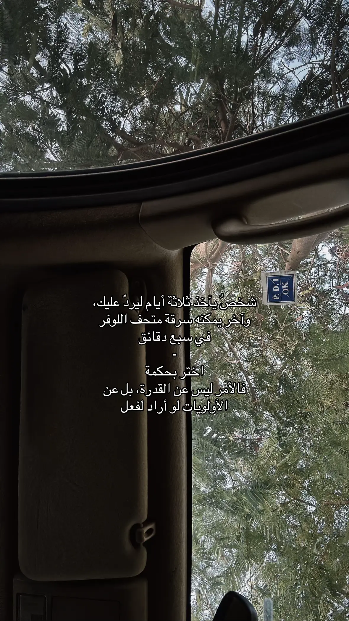 #fyp #viral #foryou #ابها 