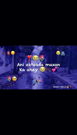 love Sarr❤️ #viewsproblem😭 #foryoupage❤️❤️ #somalitiktok #fyp #jawi_bila🌊❤️🌴 