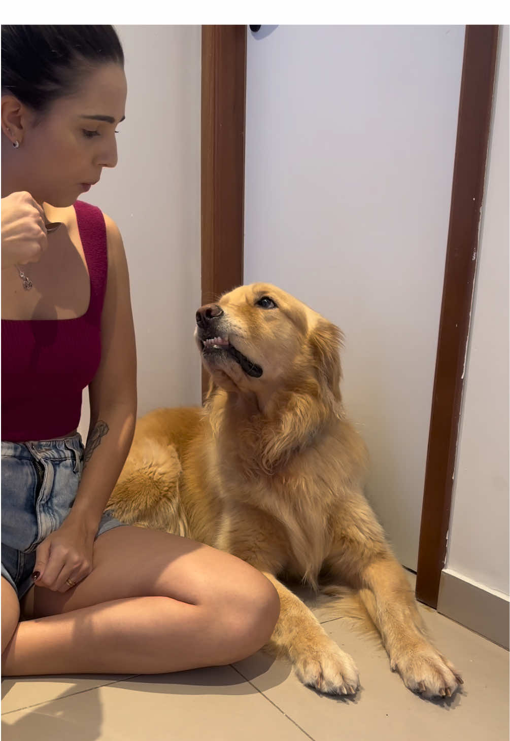 Devia estar muito gostoso pelo visto 🤡 #fy #fyp #foryou #cachorro #dog