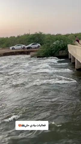 #حلي #القنفذة #القوز #اكسبلور #ترند 