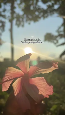 💖🫶🏼 #paratiiiiiiiiiiiiiiiiiiiiiiiiiiiiiii #fyppppppppppppppppppppppp #foryoupagee #sigueme_para_mas_videos #fypシ゚viral 