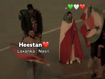 favv song💚🤍❤️  #somalilandtiktok💚🤍❤ #habaryoonis🦁👑 