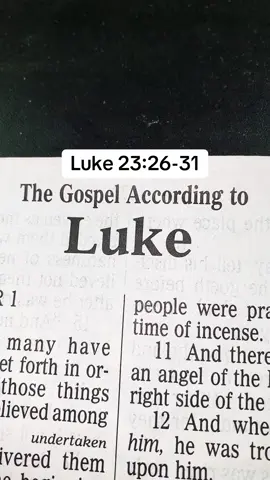 #TheLordJesusChrist #Messiah #GospelKJV #ScriptureReadingFYP #TheGoodShepherd 