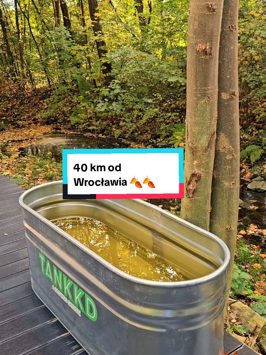 Tak spędziłam 38 urodziny 🧡 i przy okazji znalazłam cudowne miejsce 40km od Wrocławia. Idealne na totalny reset głowy, do tego sauna i możliwość morsowania.  #jedzenie #dolnyśląsk #wrocław 
