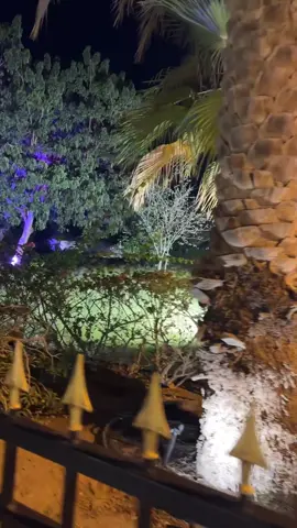 #اكسبلور #عيضه_المنهالي #قمره #ترندات #الصينين_مالهم_حل😂😂 