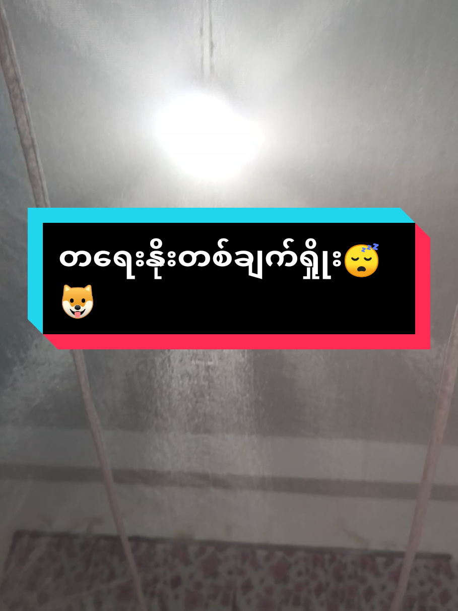 #စားမယ်ဆိုတာချည်းဘဲ #ချစ်ပေးကြပါအုန်းရှင့်😍😍😍😍😍😍 #ပူတူးပါရှင့် #ချစ်စရာကလေးလေးပါ😍🤭 #လိမ်မာတုန်းလေး 