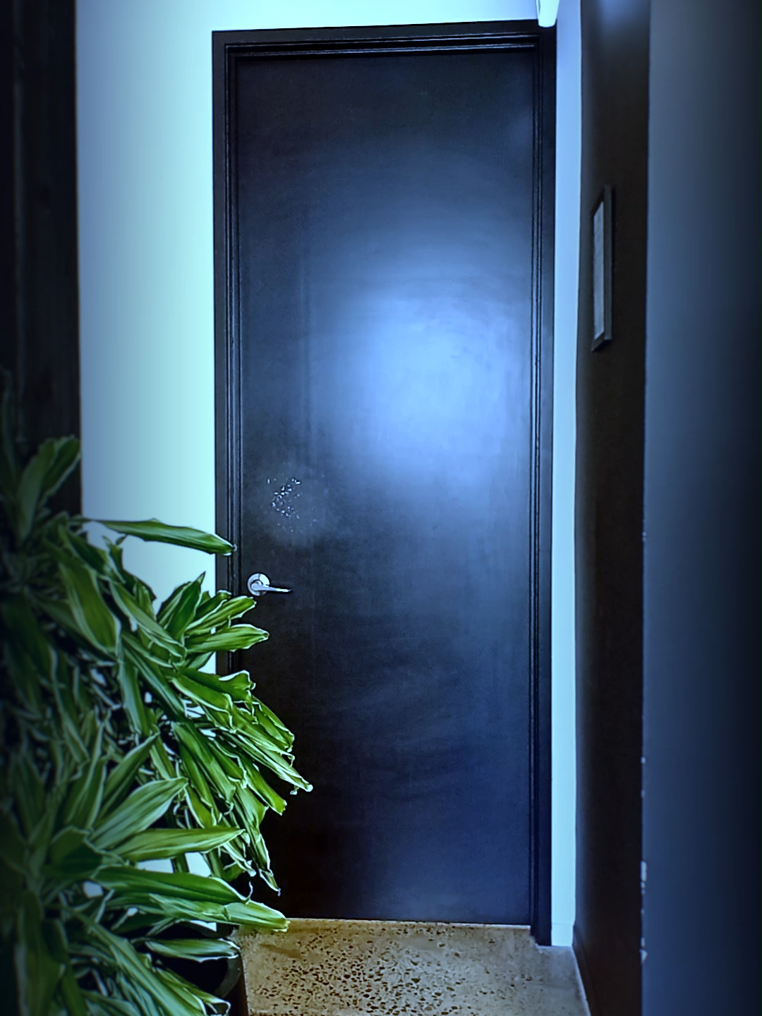 Spooky!#NinjaKiwi #btd6 #Sweepstakes #ComingSoon