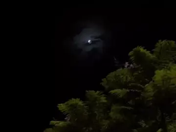 اللَّهُمَّ صَلَّ عَلَى مُحَمَّد وَعَلَى الِّ مُحَمَّد 💚