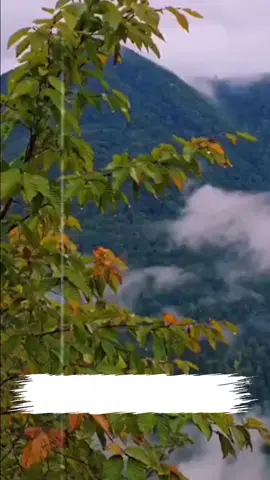 زندگی #Dilmorad_Bahar 