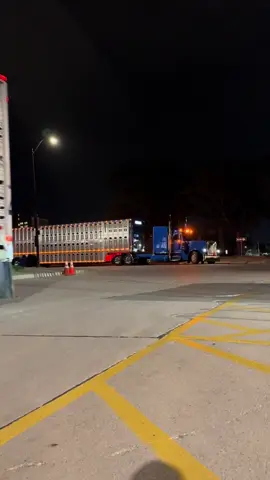 Kounkel Trucking #gsdetailing #polishing #aluminumpolishing #liferollson #family 