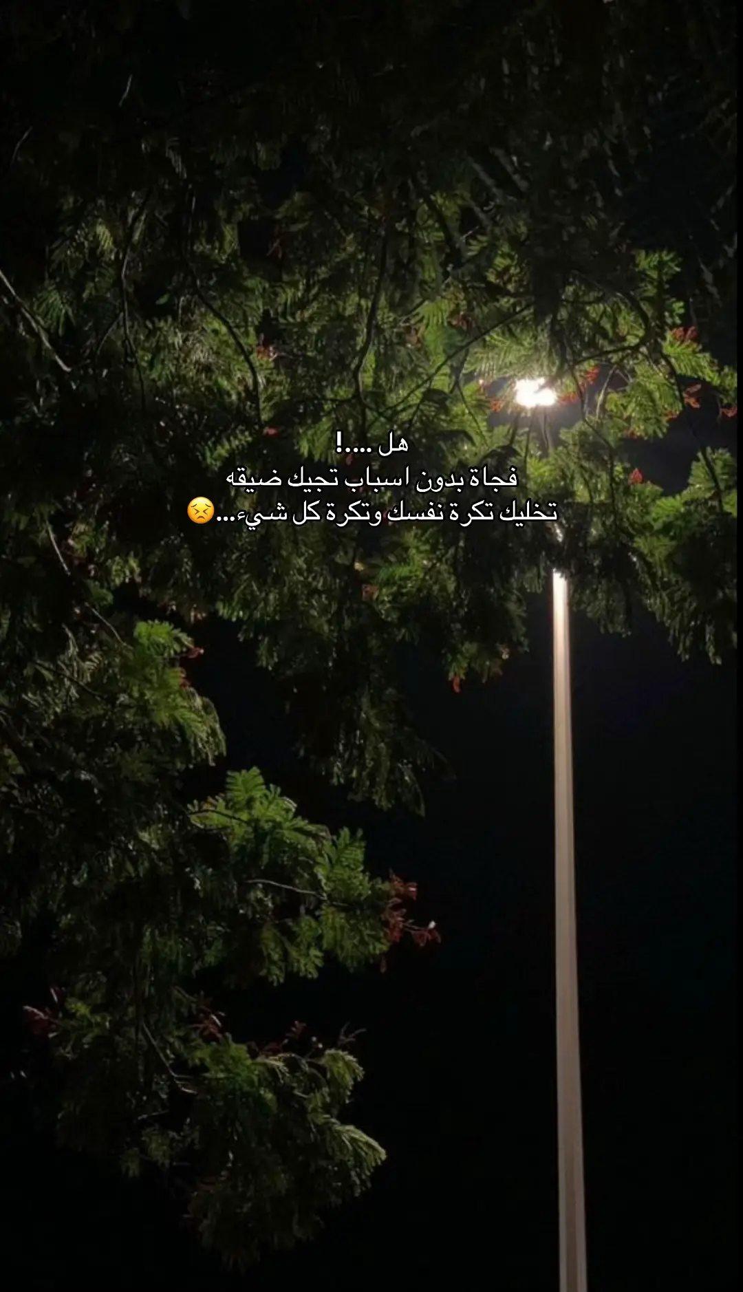 #الشعب_الصيني_ماله_حل😂😂 #لايكك❤️❤️❤️❤️❤️❤️❤️❤️ #لايكك❤️❤️❤️❤️❤️❤️❤️❤️ #لايكك❤️❤️❤️❤️❤️❤️❤️❤️ #مكه_الان 