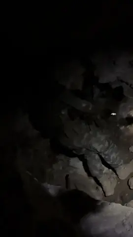 #türkiyem🇹🇷🇹🇷🇹🇷 #komando #türkaskeri🇹🇷komondo🇹🇷 #uzmancavuş #keşfet ZORDUR ÇÜNKÜ DÜNYA İLE SAVAŞIRSİN AMA TÜRK OLMAMAK DAHA ZORDUN ÇÜNKÜ TÜRKLERLE SAVAŞIRSING