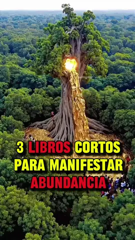 ‼️ 3 LIBROS CORTOS SOBRE LA LEY DE LA ATRACCIÓN ‼️ #libroscortos #leyatracción #librosrecomendados #1111 