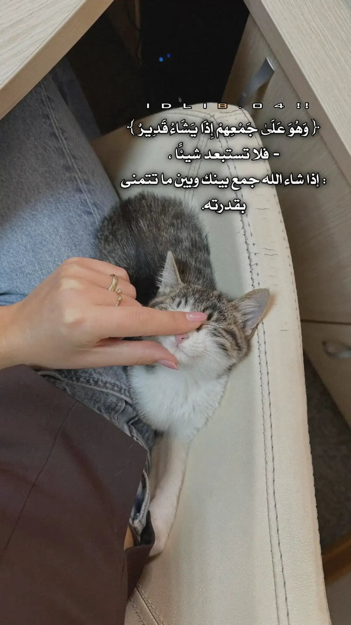 #virial #fory #fyp #explor #حنو 